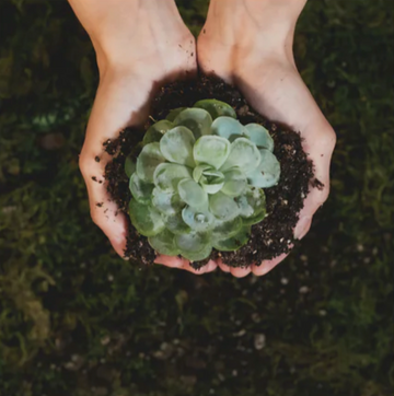 Sustainability Luxury That Honors the Planet